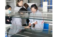 新員工前來工廠參觀學(xué)習(xí)