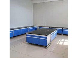 實(shí)驗(yàn)室電分析化學(xué)