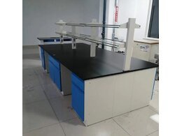 實(shí)驗(yàn)室氣相色譜法